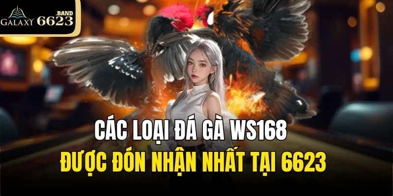 Các loại đá gà WS168 được đón nhận nhất tại 6623