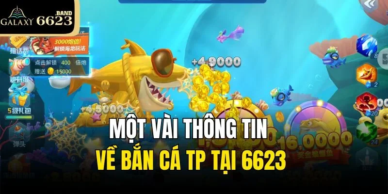 Tổng quan thông tin sơ lược về bắn cá TP