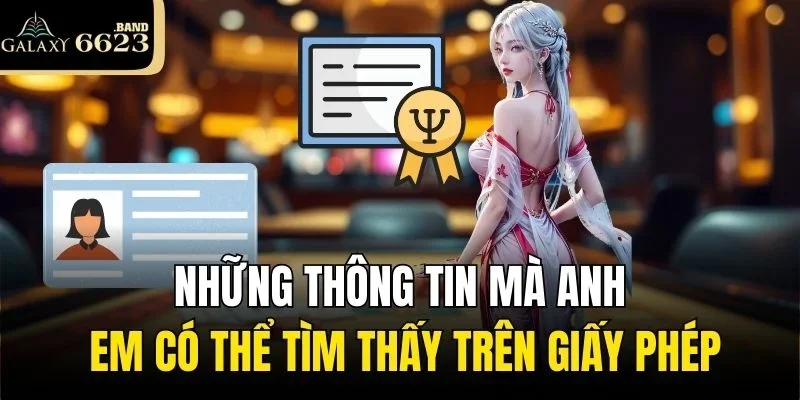 Những thông tin mà anh em có thể tìm thấy trên giấy phép