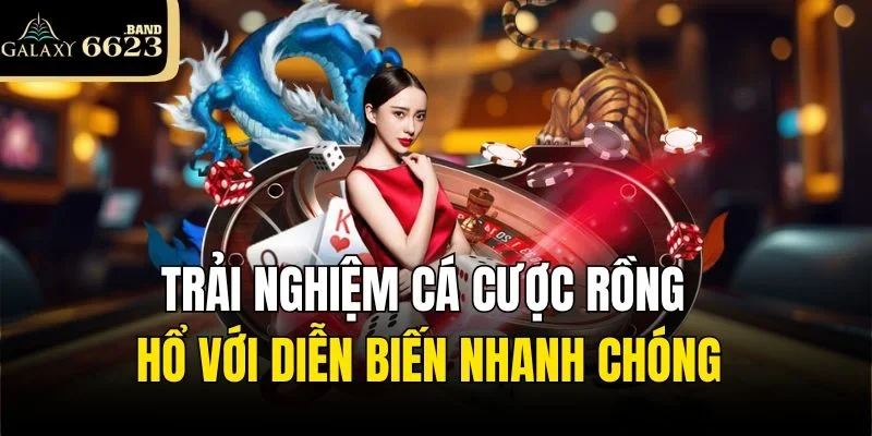 Trải nghiệm cá cược Rồng Hổ với diễn biến nhanh chóng
